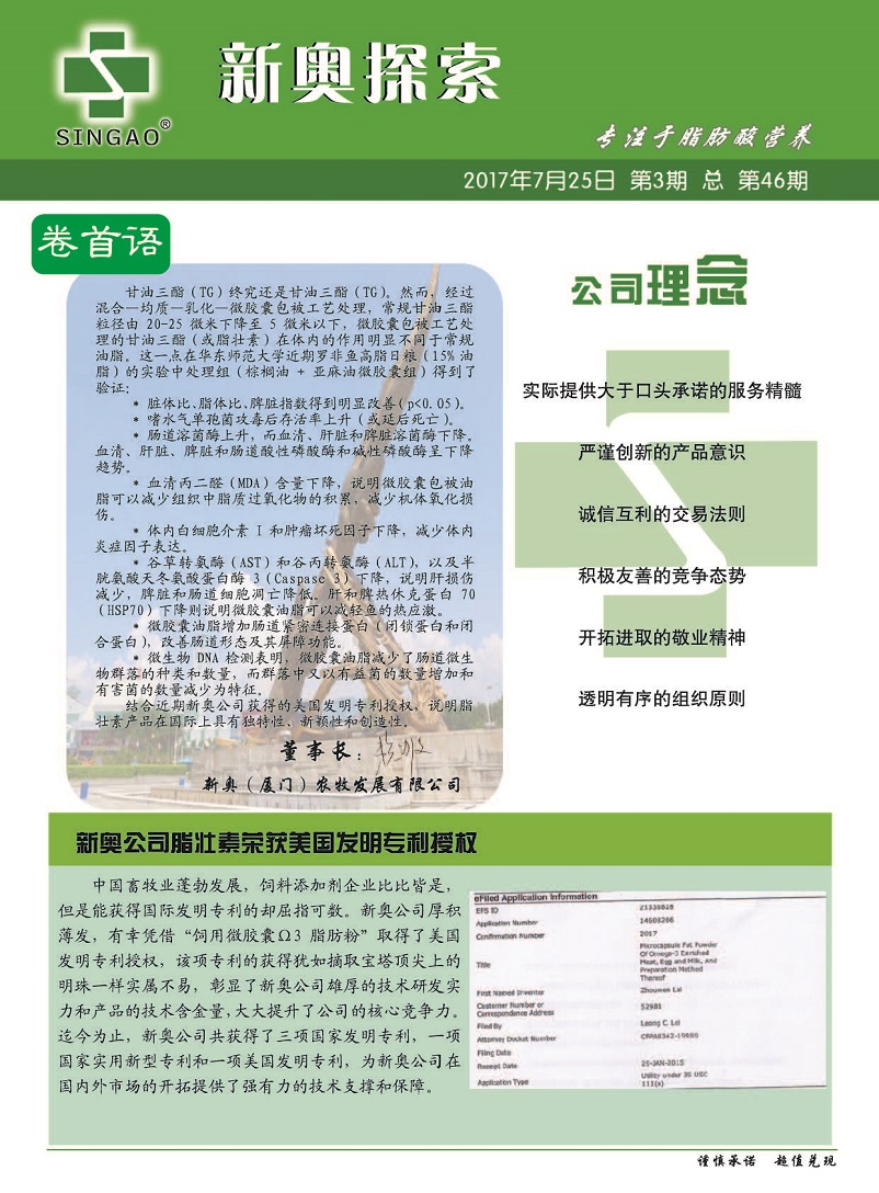 新澳2025最新资料,综合解答解释落实_8g41.99.31,新澳2025最新资料综合解答解释落实详解