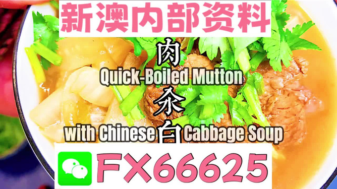 管家婆一码一肖100中奖,揭秘管家婆一码一肖,揭秘管家婆一码一肖，探寻中奖的奥秘与真相
