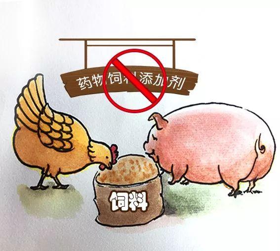 六盒宝典精准资料期期精准|实证解答解释落实,揭秘六盒宝典精准资料，实证解答与深入落实