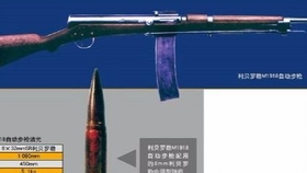 2025新澳今晚资料,科学解答解释落实_tg86.35.93,揭秘科学解答解释落实，探索新澳今晚资料与未来趋势预测（TG86.35.93）