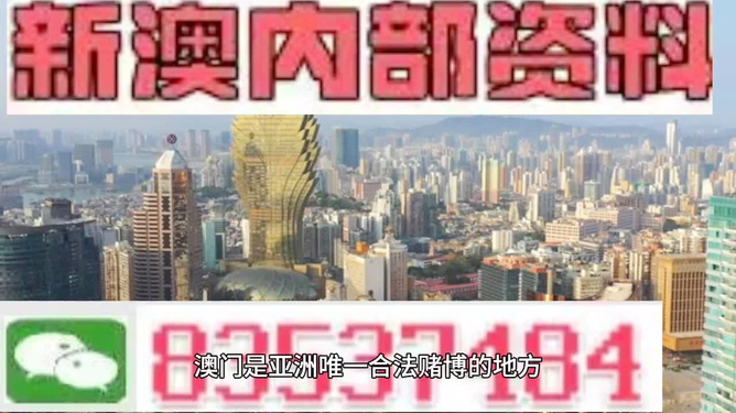 新澳门内部精准公开,精选解析、落实与策略,新澳门内部精准公开的精选解析、落实与策略
