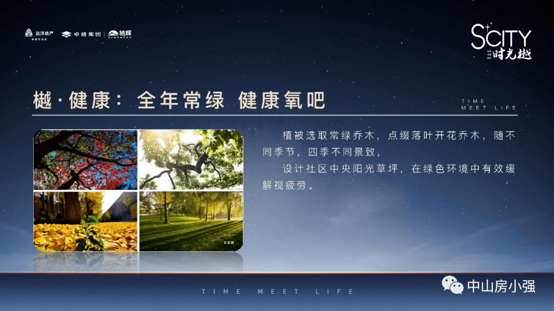 新澳2025最新资料大全,精选解析、落实与策略,新澳2025最新资料大全深度解析、落实策略与实施路径