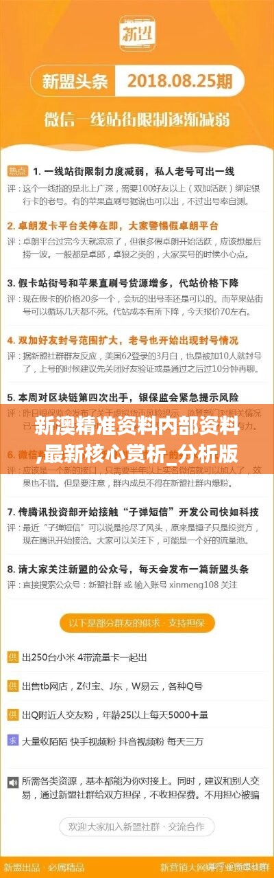 2005新澳正版免费大全,精选解析、落实与策略,探索与超越，2005新澳正版免费大全的精选解析与策略落实